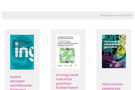 Euskarazko unibertsitate-liburuen sorkuntza sustatzeko diru-poltsa