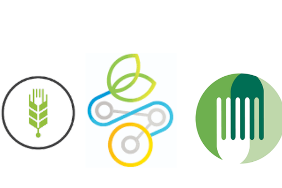 Janariaren hackerrak Donostian