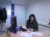 Snomed CT medikuntzako sare semantikoa euskaratzearen inguruko tesia