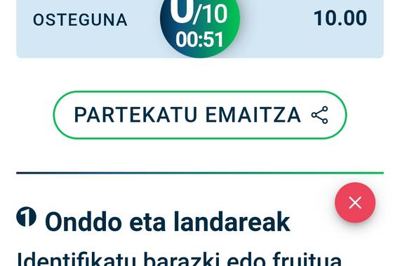 Euskara azterketan zero biribilak