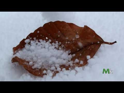 Negu gorria Euskal Herriko mendietan [Bideoa]