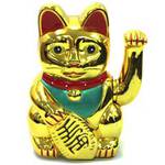 Erabiltzailearen aurpegia