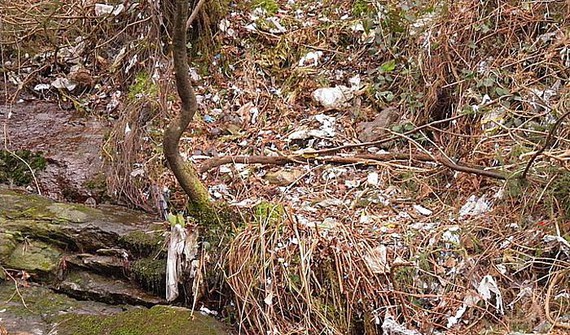 Tratatu gabeko zaborra botatzen ari dira Artigasko zabortegian