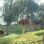 Erabiltzailearen aurpegia