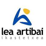 Erabiltzailearen aurpegia