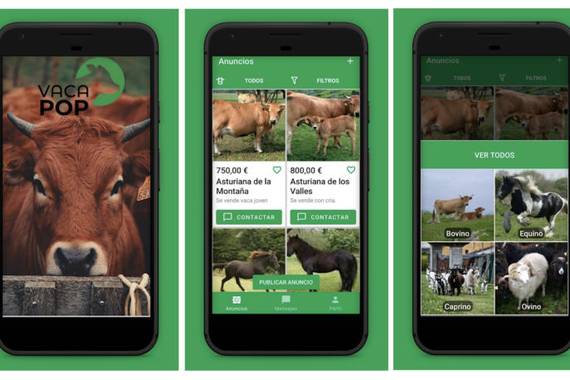 Vacapop itxi dute, eta Ruralpop sortu