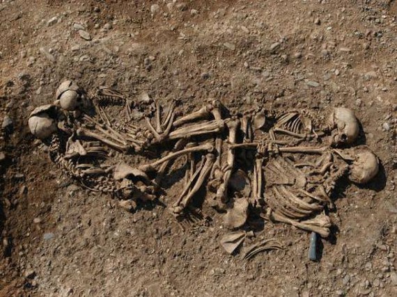 Europako hizkuntza gehienen sehaska