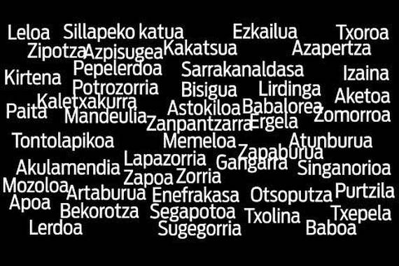 Berria egunkariko langileek euskaraz "iraintzen" gaituzte :-)