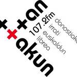 Erabiltzailearen aurpegia