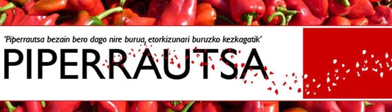 "Podemos-en nazionalismoa", Mikel Irizarrek