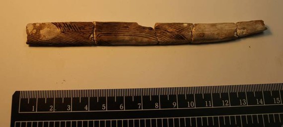 Paleolitoko altxorra topatu dute Gipuzkoako kobazulo batean: hezurrezko bi zotz edo hagaxka