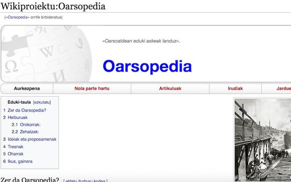 Oarsopedia, Oarsoaldea eduki librez betetzeko