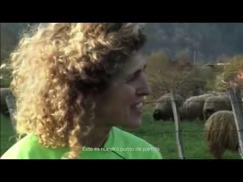 Pausoa ematera goaz! #GureEskuDago