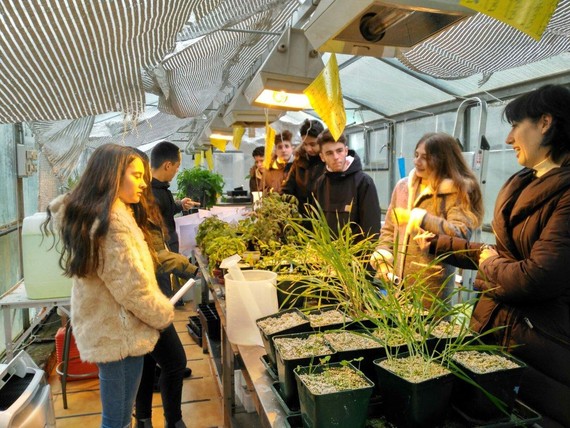 248 ikertzaile boluntario prest, gazteei Elhuyar Zientzia Azokan laguntzeko