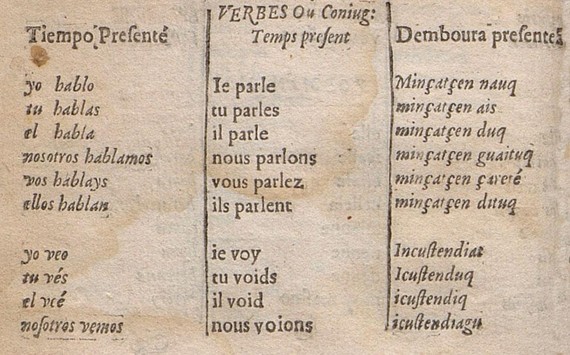 Voltoireren 1620ko frantsesa-gaztelania-euskara hiztegia interneten