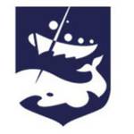 Erabiltzailearen aurpegia