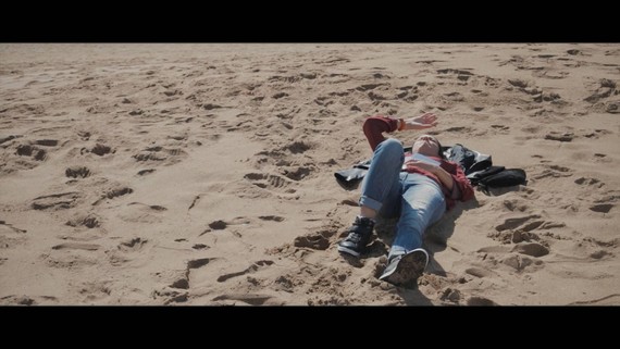 Literaturia 2017, sustapeneko bideo bitxia