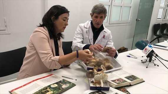 Asteburuan batu perretxikoak, eta analisatu ea jangarriak diren astelehenean