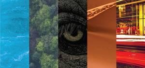 Zientzialariek gizateriari: etorkizuna arriskuan jartzen ari gara