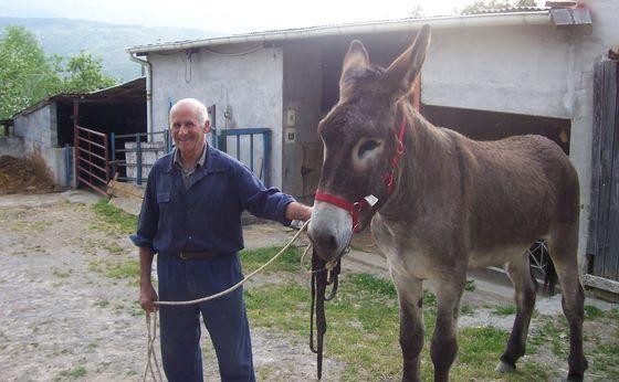 Asto baten astakeria