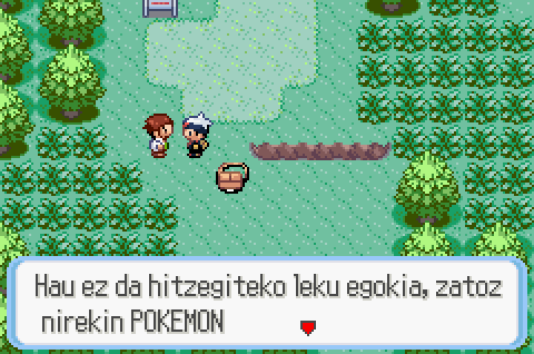 Pokémon Ruby euskaratzen ari dira