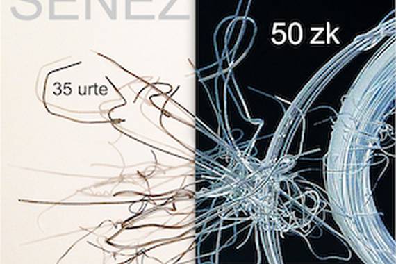 SENEZ aldizkaria dugu ospakizun Itzulpengintzaren Nazioarteko Egunean