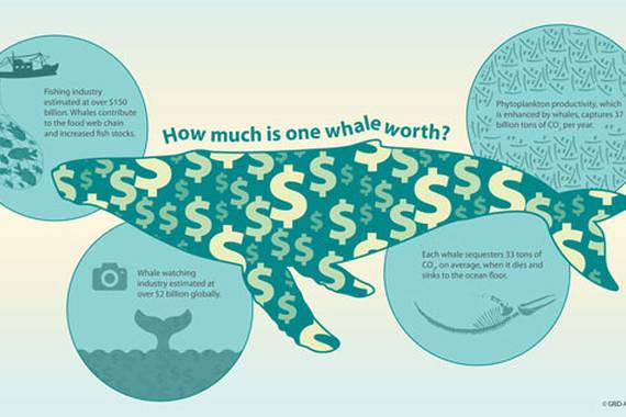 Baleak: karbono isurketak kontrolatzeko izakiak