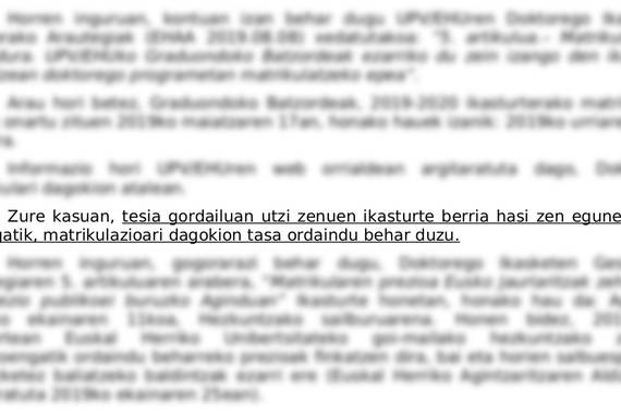 Tesigile euskaldun baten borroka EHUren burokraziaren aurka