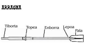 arraunah