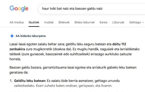 google bilake