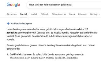 google bilake