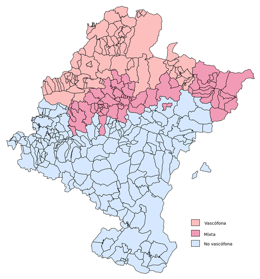 Euskarazko D eredua Nafarroa osora zabaltzea onartu du Parlamentuak