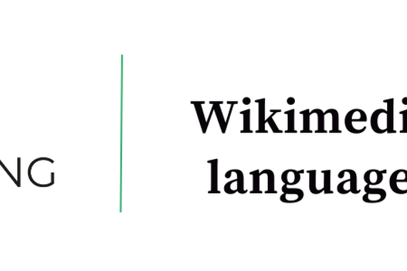 Wikipediako hizkuntza gutxituekin PortoMeeting 2025 bilkuran