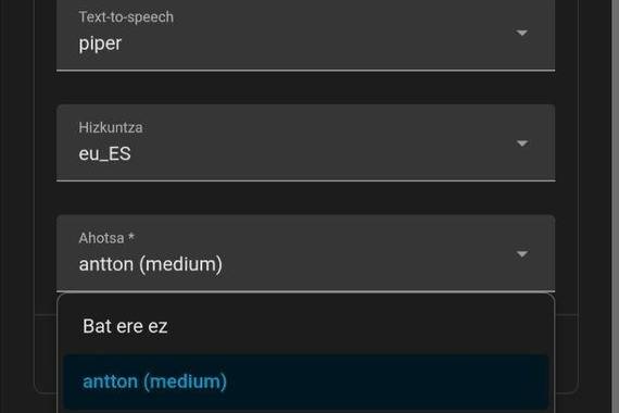 Home Assistant domotika aplikazioak euskaraz hitz egin dezake orain