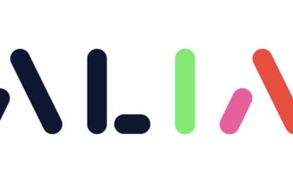 Euskara eta Hitz Zentroa ALIA proiektuaren barruan, Espainiako Gobernuaren AA ekimenean