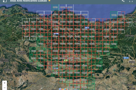 EAEko Atlas Ornitologikoaren datu-bilketa aurrera doa