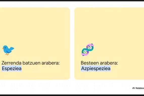 NotebookLM euskarazko bideoak sortzeko gauza da orain