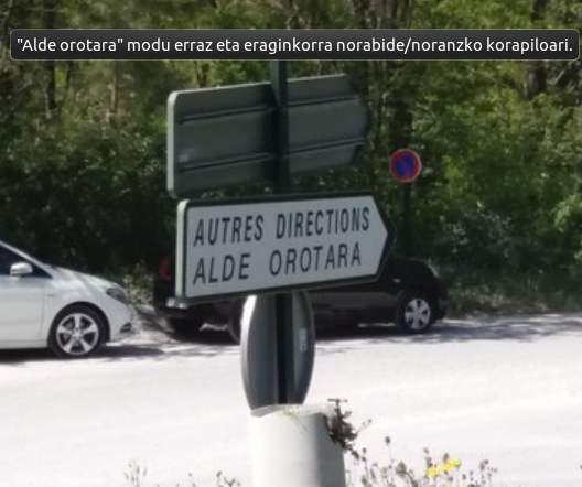 Euskara Lapurdin, bisitari baten begietatik