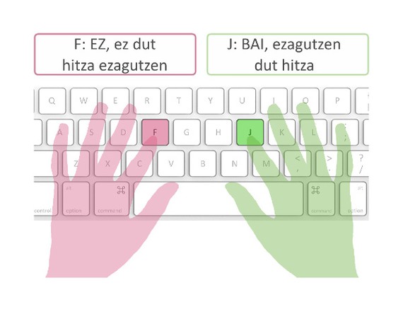 Hiztegi froga: Zenbat hitz ezagutzen dituzu euskaraz?