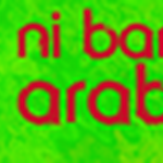 Erabiltzailearen aurpegia