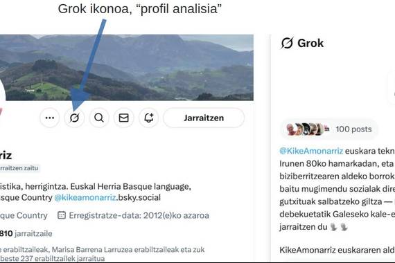 Elon Musken adimen artifizialeko markak: Grok eta xAI