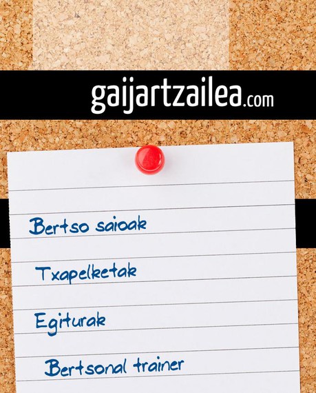 Gaijartzailearen webgune berritua