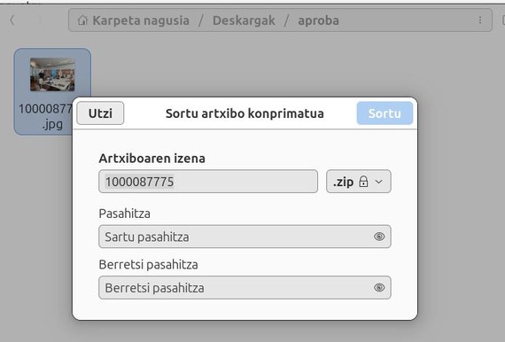 zip zifratua