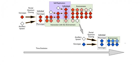 EHUko ikerlariek bizi artifiziala sortu dute, IBMren ordenagailu kuantiko batean